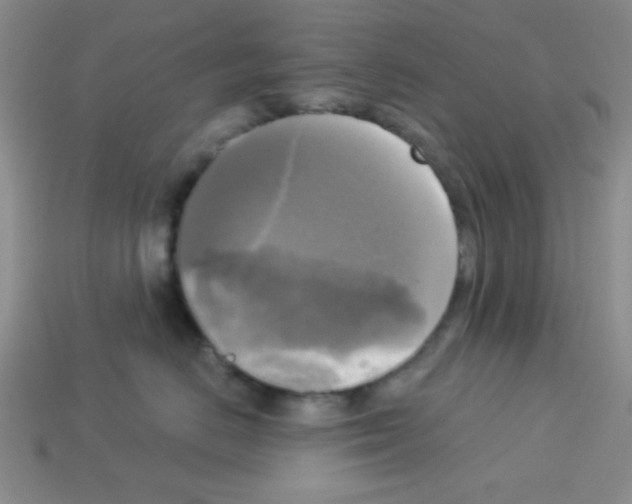 X0000112960670200910081047