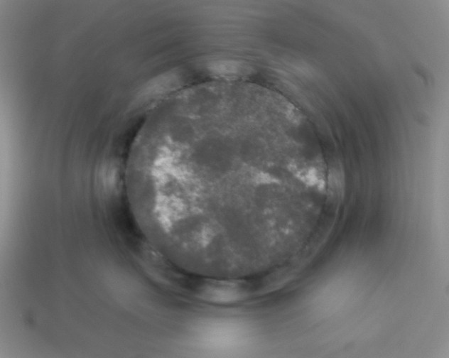 X0000112960671200910081047