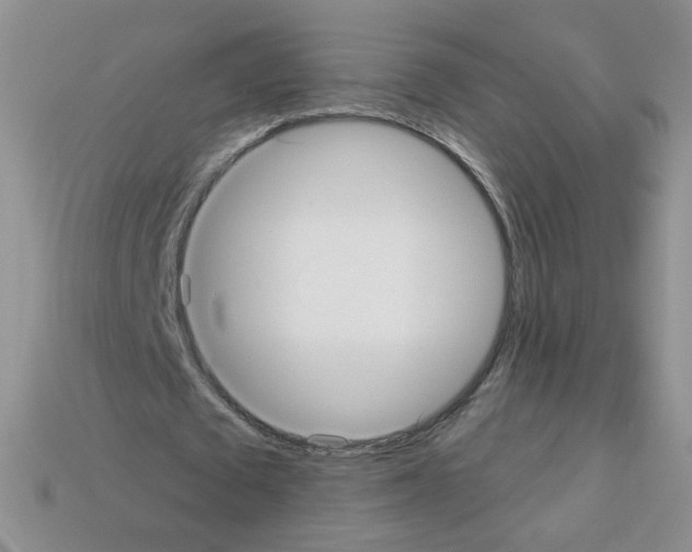 X0000112960673200910081046