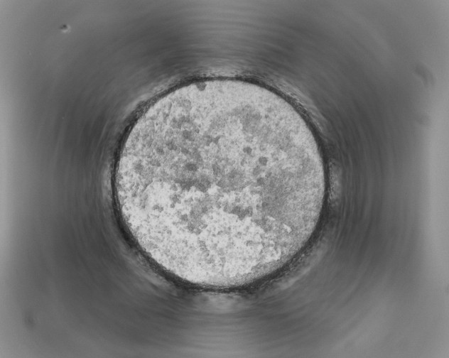 X0000112960681200910081046