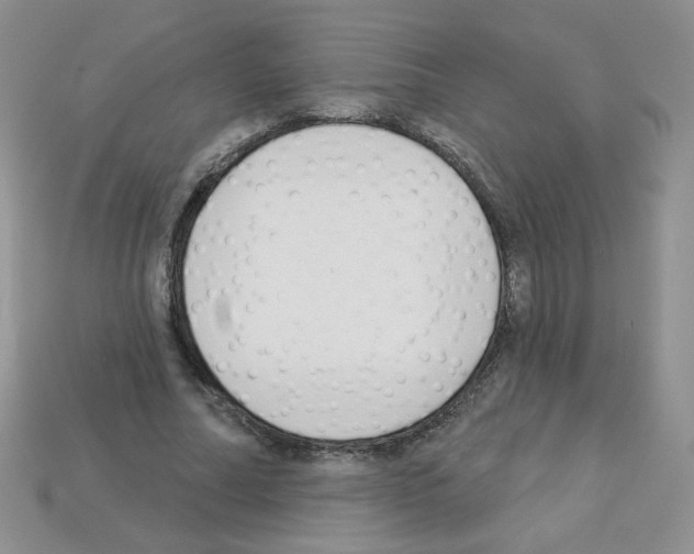 X0000112960682200910081046