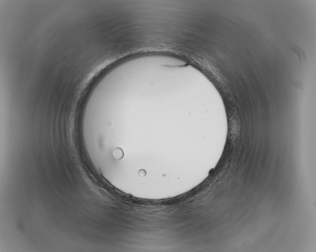 X0000112960684200910081046