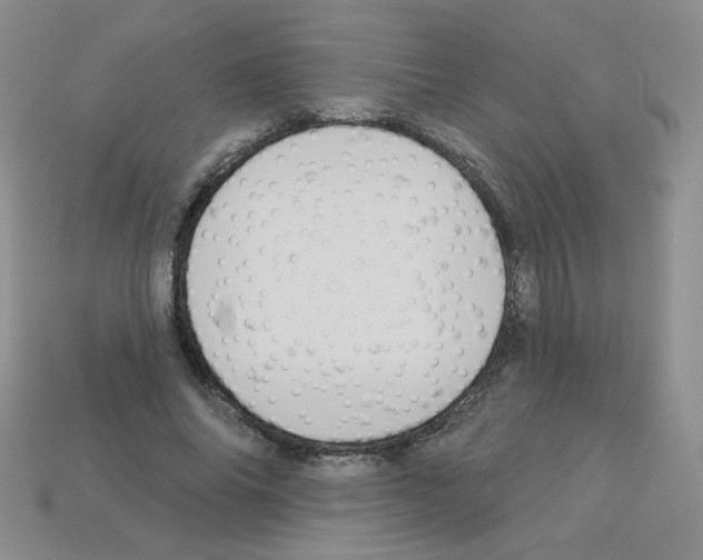 X0000112960686200910081046