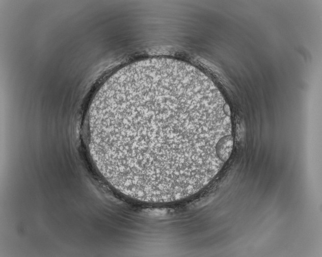 X0000112960687200910081046