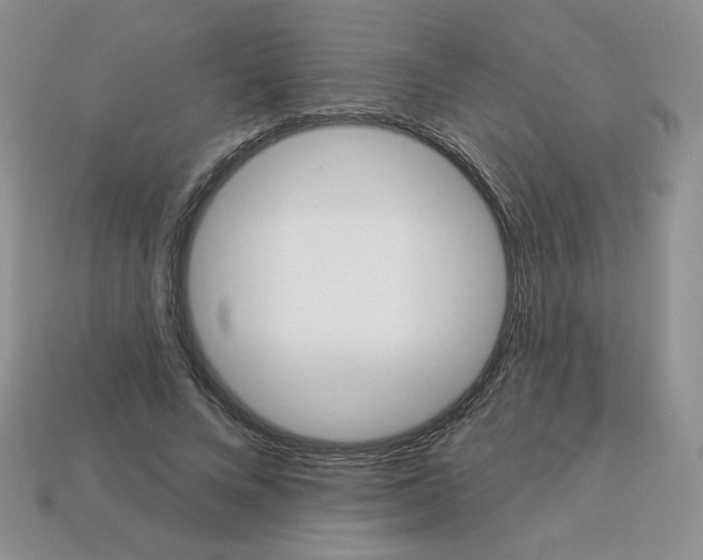 X0000112960688200910081046