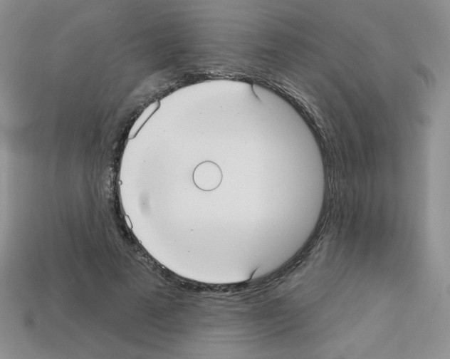 X0000112960689200910081046