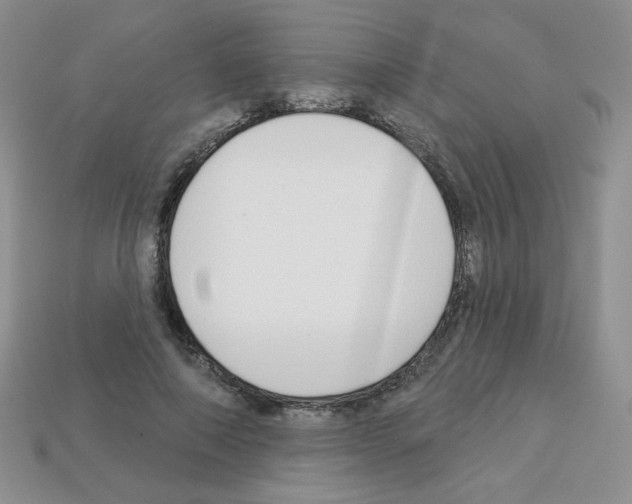 X0000112960690200910081046