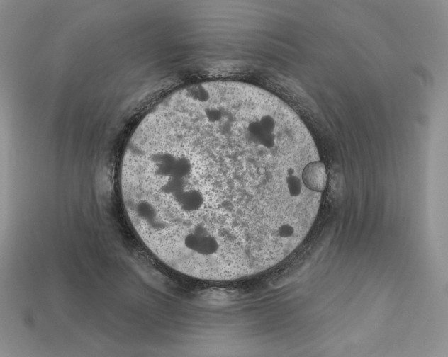 X0000112960691200910081046