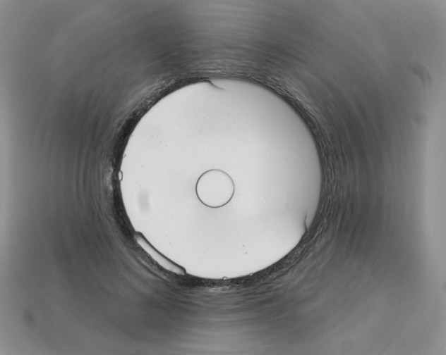 X0000112960692200910081046