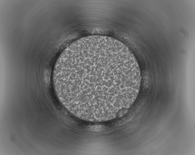 X0000112960695200910081046