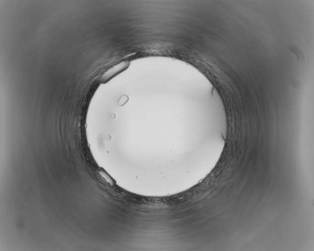 X0000112960696200910081046