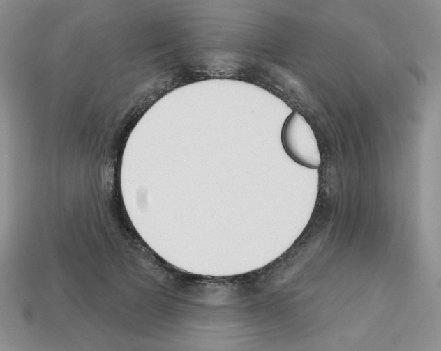 X0000112960697200910081046