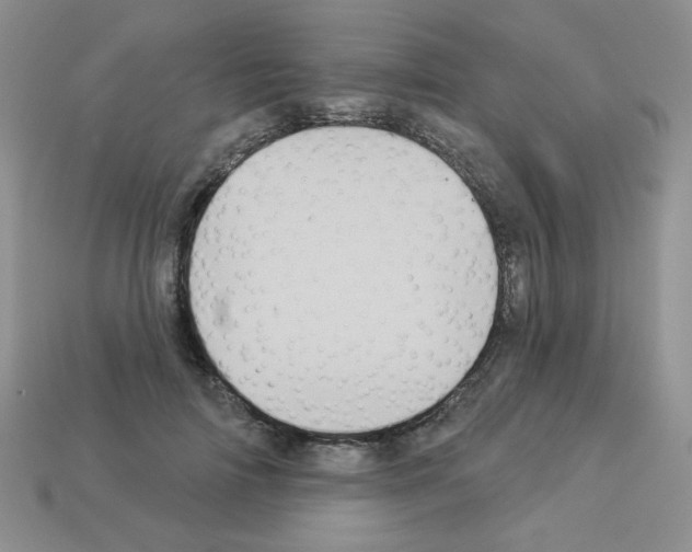 X0000112960698200910081046