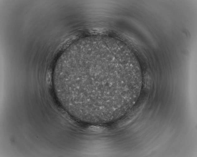 X0000112960699200910081046