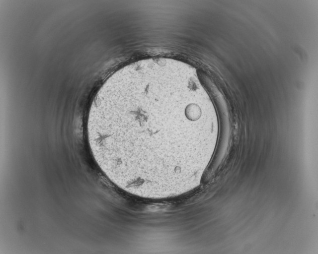 X0000112960700200910081046