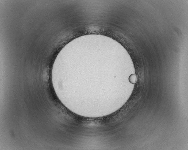 X0000112960702200910081046