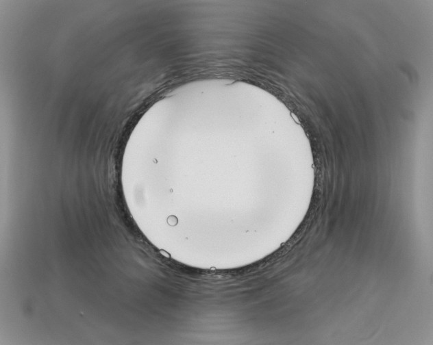 X0000112960704200910081046