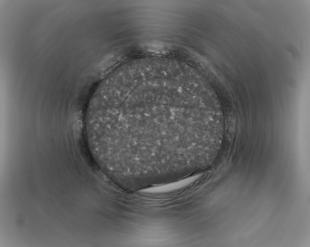 X0000112960707200910081046