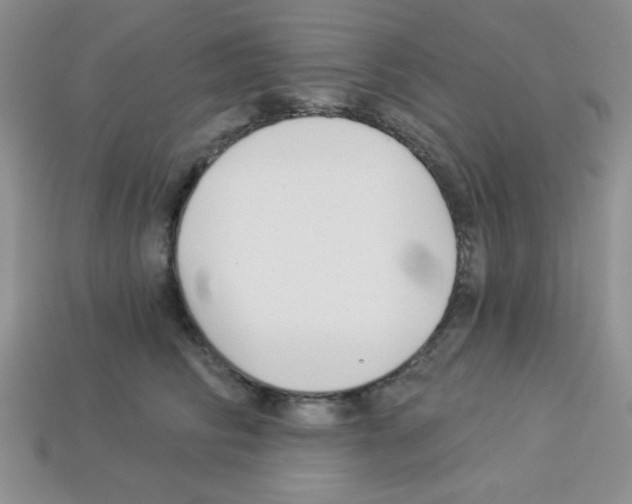 X0000112960710200910081046