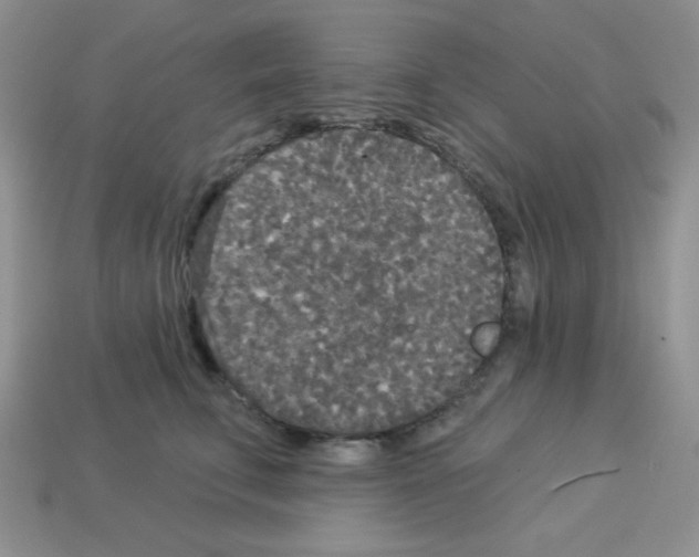 X0000112960711200910081046