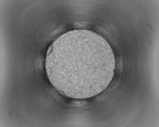 X0000112960712200910081046