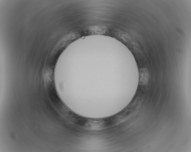 X0000112960713200910081046