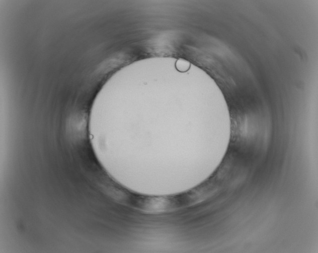 X0000112960717200910081046