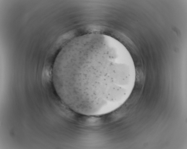 X0000112960718200910081046