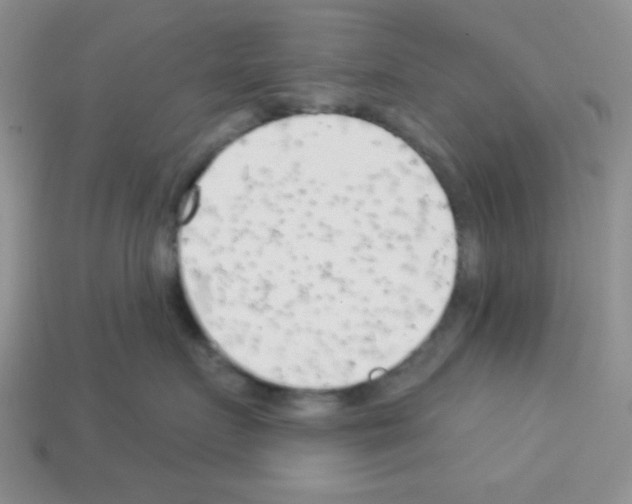 X0000112960719200910081046