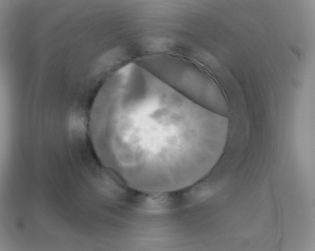 X0000112960720200910081046