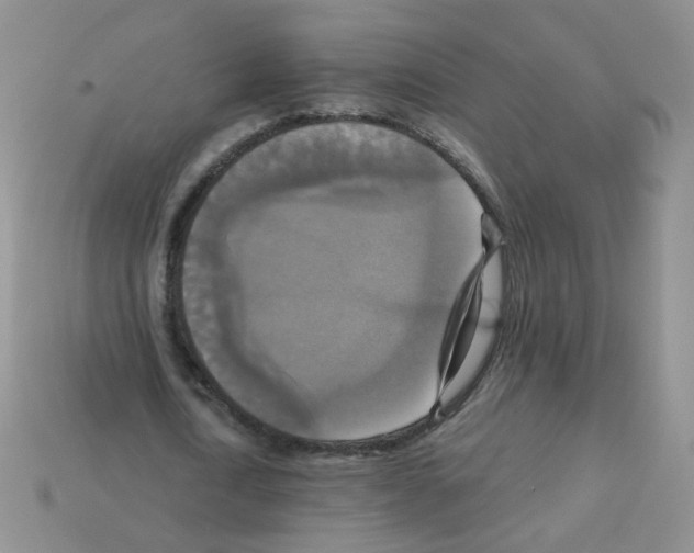 X0000112960722200910081045