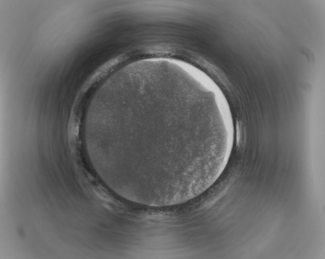 X0000112960723200910081045