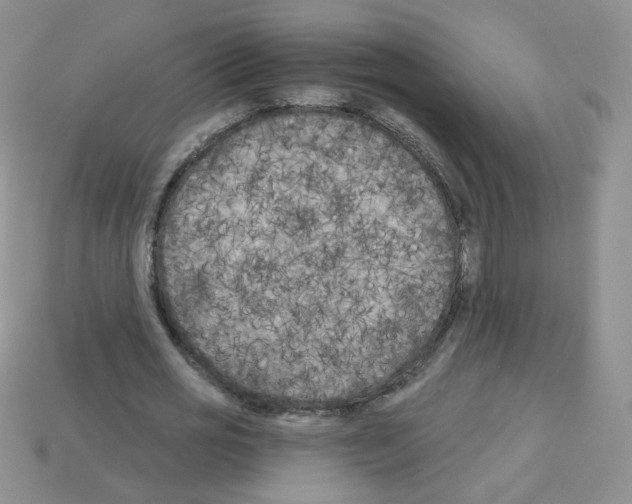 X0000112960725200910081045