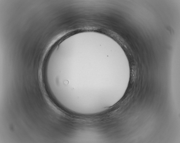 X0000112960726200910081045