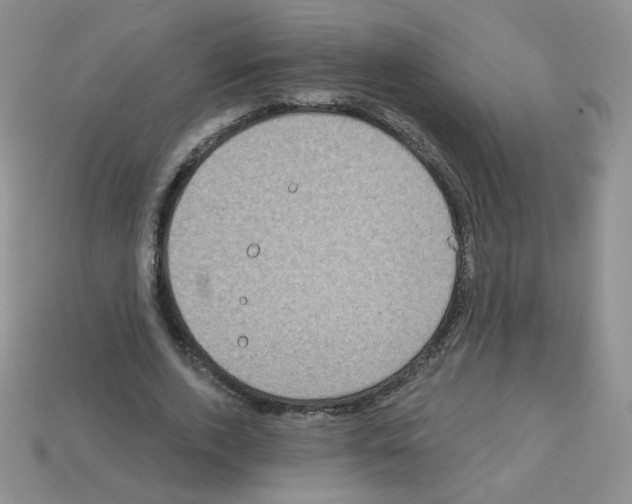 X0000112960728200910081045