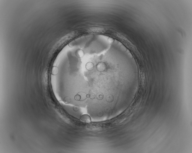 X0000112960729200910081045