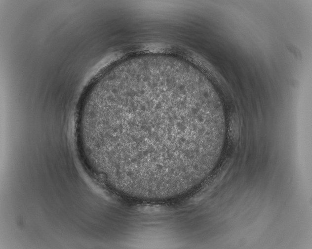 X0000112960730200910081045