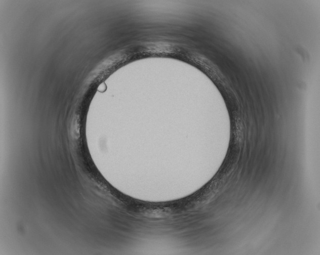 X0000112960731200910081045