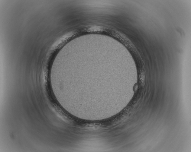 X0000112960732200910081045