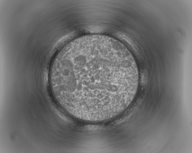 X0000112960733200910081045