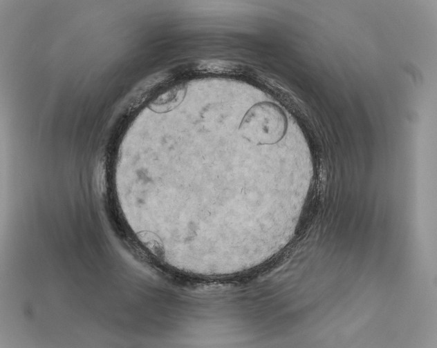 X0000112960734200910081045