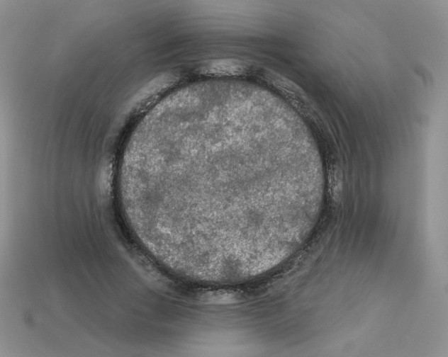 X0000112960735200910081045