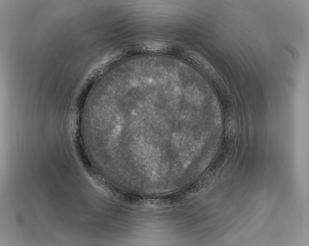 X0000112960736200910081045