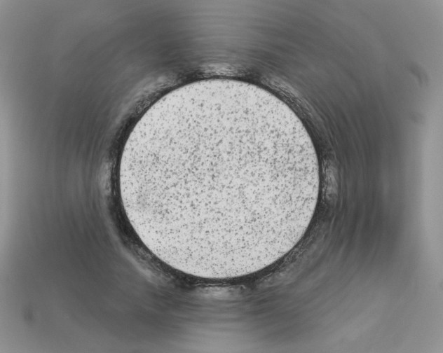 X0000112960738200910081045