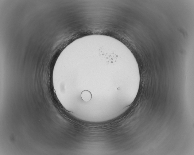 X0000112960740200910081045