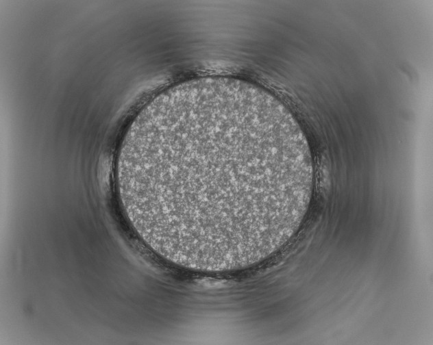 X0000112960742200910081045