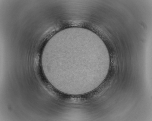 X0000112960744200910081045