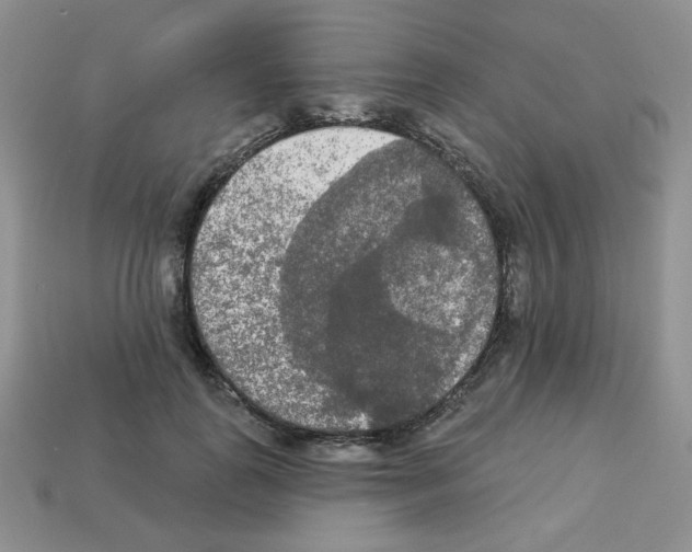 X0000112960747200910081045