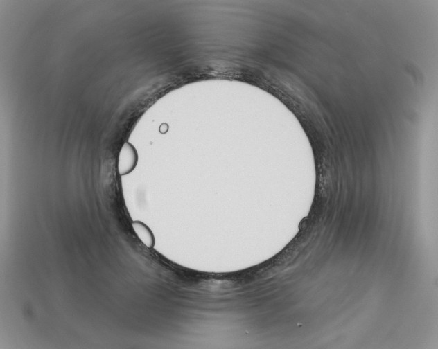 X0000112960748200910081045