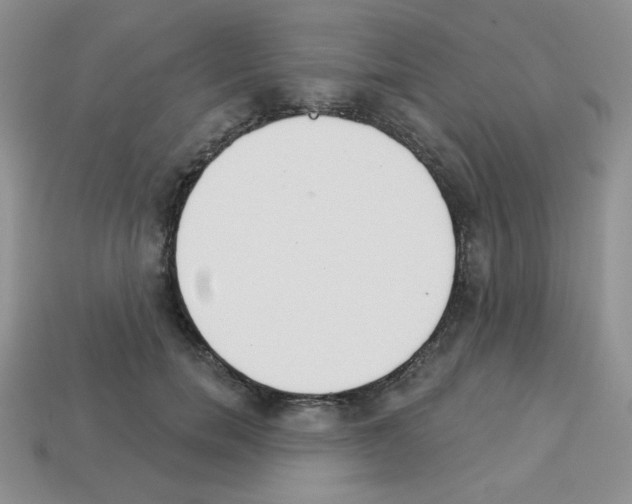 X0000112960750200910081045